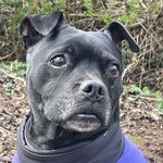 Lorraine North - @lorraine.north134 - Instagram