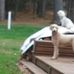 Lori Nyhus - Facebook