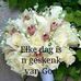 Lorraine Odendaal - Facebook