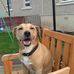 Lorraine Odonnell - Facebook