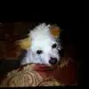 Lorraine Oneal - @2167721538 - TikTok