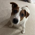 Lorraine O'Rourke - @orourke.lorraine - Instagram