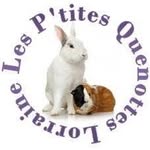Les P'tites Quenottes Lorraine - @quenotteslorraine - Instagram