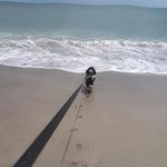 Travels with Riley - @ousleylorraine - Instagram