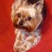 Loraine Owens - Facebook