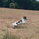 Lorraine Owens - @lorraine.owens.52 - Instagram