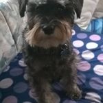 Lorraine Owens - @lolandsteve6 - Instagram