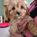 Lorraine Packham - @lorrainepackham - Instagram