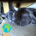 Lorraine Palmieri - Facebook