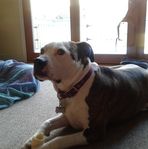 Lorraine Palmieri - Facebook