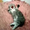 LorrainePatel - @lorrainepatelbhkvzr - TikTok
