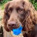Lorraine Pattison - Facebook