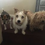 Lorraine Pattison - @lorraine.pattison - Instagram