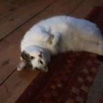 Lorraine Patton - @lorrainepatton9 - Instagram