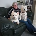 Lorraine Pemberton - @alfarch2009 - Instagram