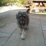 Lorraine Pemberton - @pembertonlorraine - Instagram