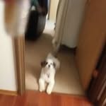 lorraine penderbey .at 4 - @lorrainependerbey - Instagram