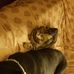 Lorraine Pennington - Facebook
