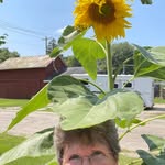 Lorraine Pennington - @pennington.lorraine - Instagram