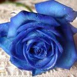 Lorraine Pete - @lorraine.pete.9 - Instagram