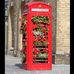 Lorraine Peters - Facebook