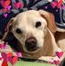 Lori M Pfaff - Facebook