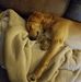 Lorraine Phinney - Facebook