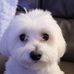 Lorraine Plante - Facebook