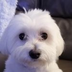 Lorraine Plante - @lorraine.plante.98 - Instagram