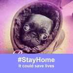 Lorraine Plummer - @plummer.lorraine - Instagram