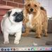 Lorraine Plummer - Facebook