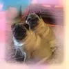 Lorraine Plummer - @winniebettylola26 - TikTok