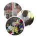 Lorraine Pressley - Facebook