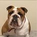 Lorraine Preston - Facebook