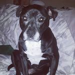 Lorraine - @lorraine_da_radical_mom - Instagram