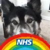 Lorraine Rafferty Hu - @raff410 - TikTok