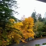 Lorraine Rodgers - @rainybug58 - Instagram
