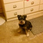 Lorraine Rossman - @rossmanlorraine - Instagram