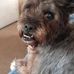 Lorraine Rowley - Facebook