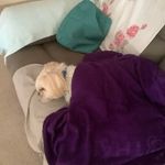 Lorraine Rowley - @lorraine.rowley2 - Instagram