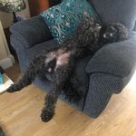 Lorraine Rowley - @lorraine.rowley.581 - Instagram