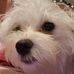 Lorraine Rowley  - Facebook