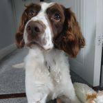 Lorraine Rowley - @burke.lorraine - Instagram