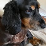 Lorraine Cullen-Rushworth - @lorrainecullenrushworth - Instagram