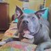 Lorraine Schmitt - Facebook