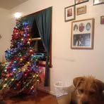 Lorraine Secor - Facebook