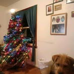 Lorraine Secor - Facebook