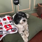 Lorraine Sexton - @loveteddyboy - Instagram