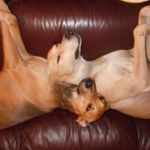 Lorraine Sharkey - @yagitito - Instagram