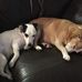 Lorraine Sharkey - Facebook